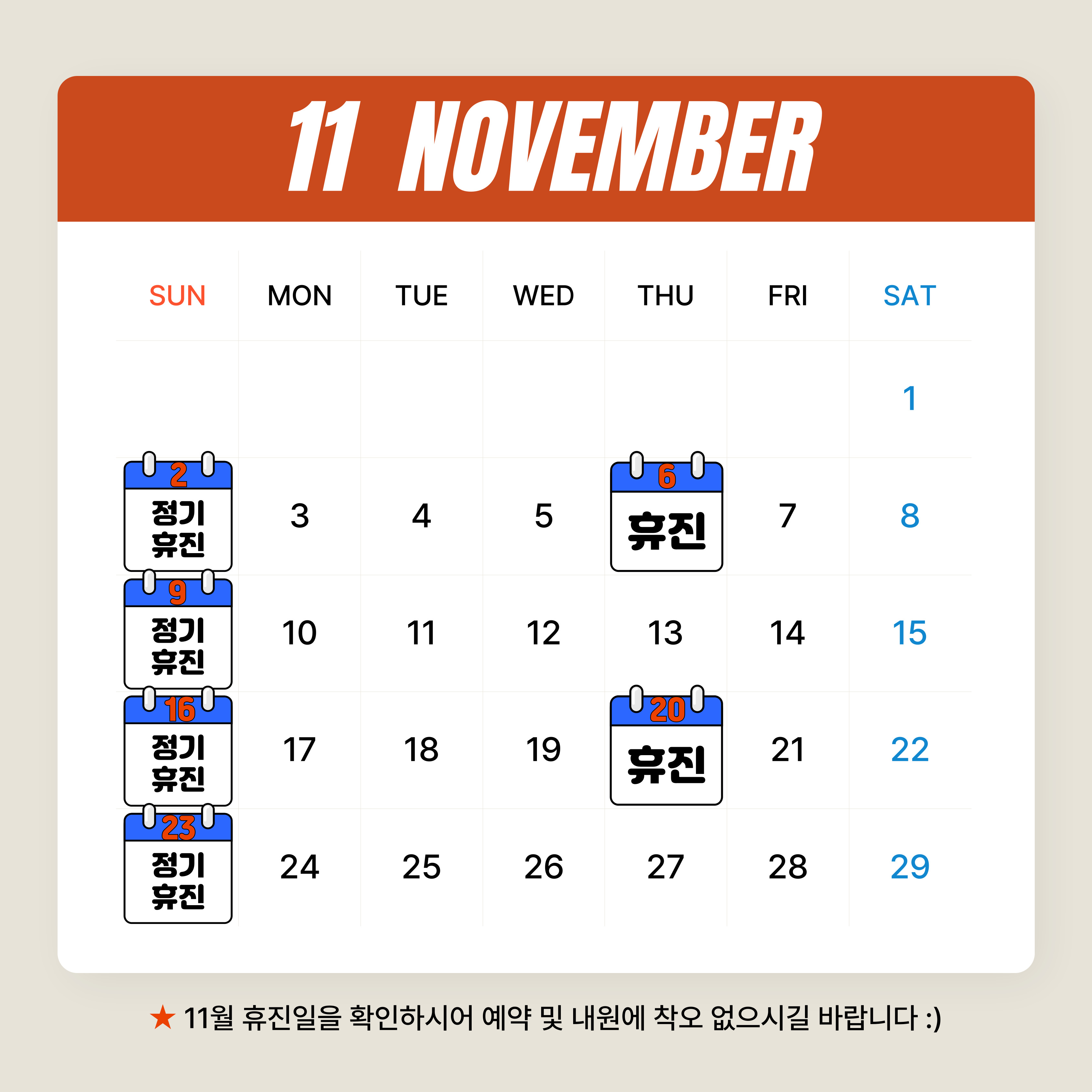 11월 진료일정